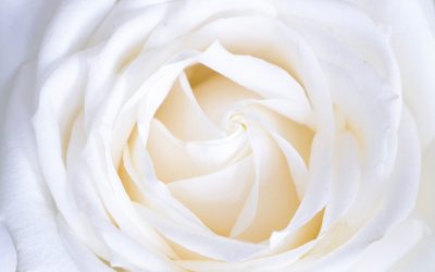 Considering Scent Marketing?