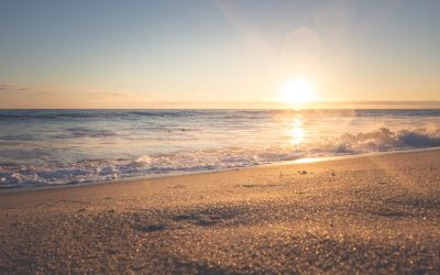 Escapism Scent: Escaping Reality Through Scent