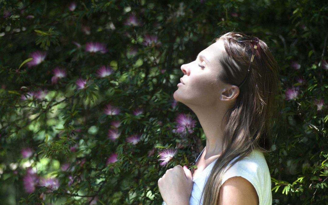 Scent your space and transport your mind into relaxation