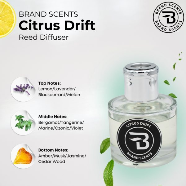 Citrus Drift Reed Diffuser - Image 5