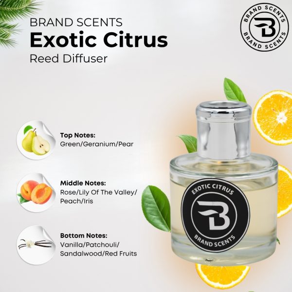 Exotic Citrus Reed Diffuser - Image 5
