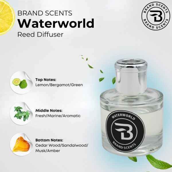 Waterworld Reed Diffuser - Image 5